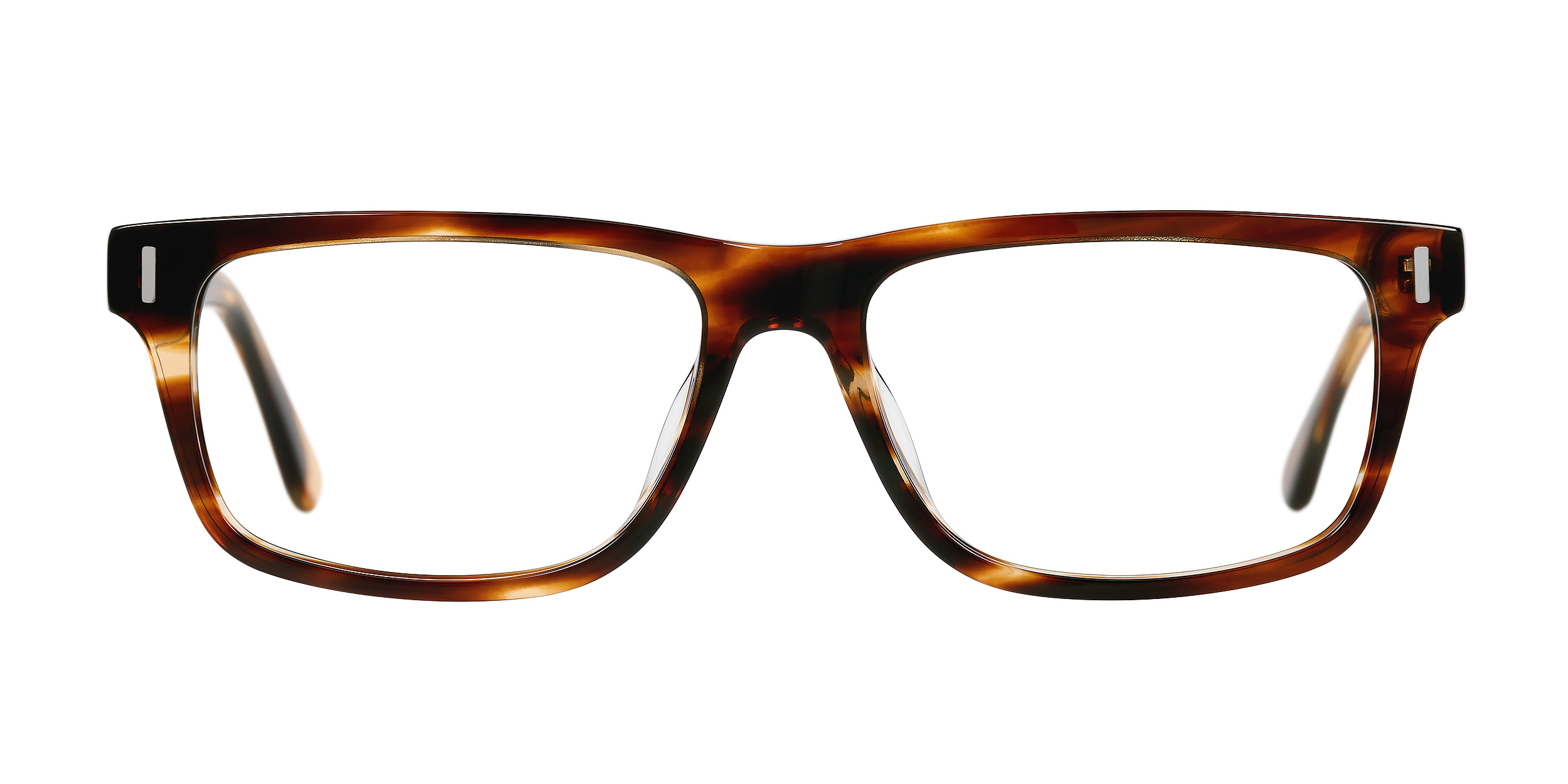 Allen - Striped Tortoise