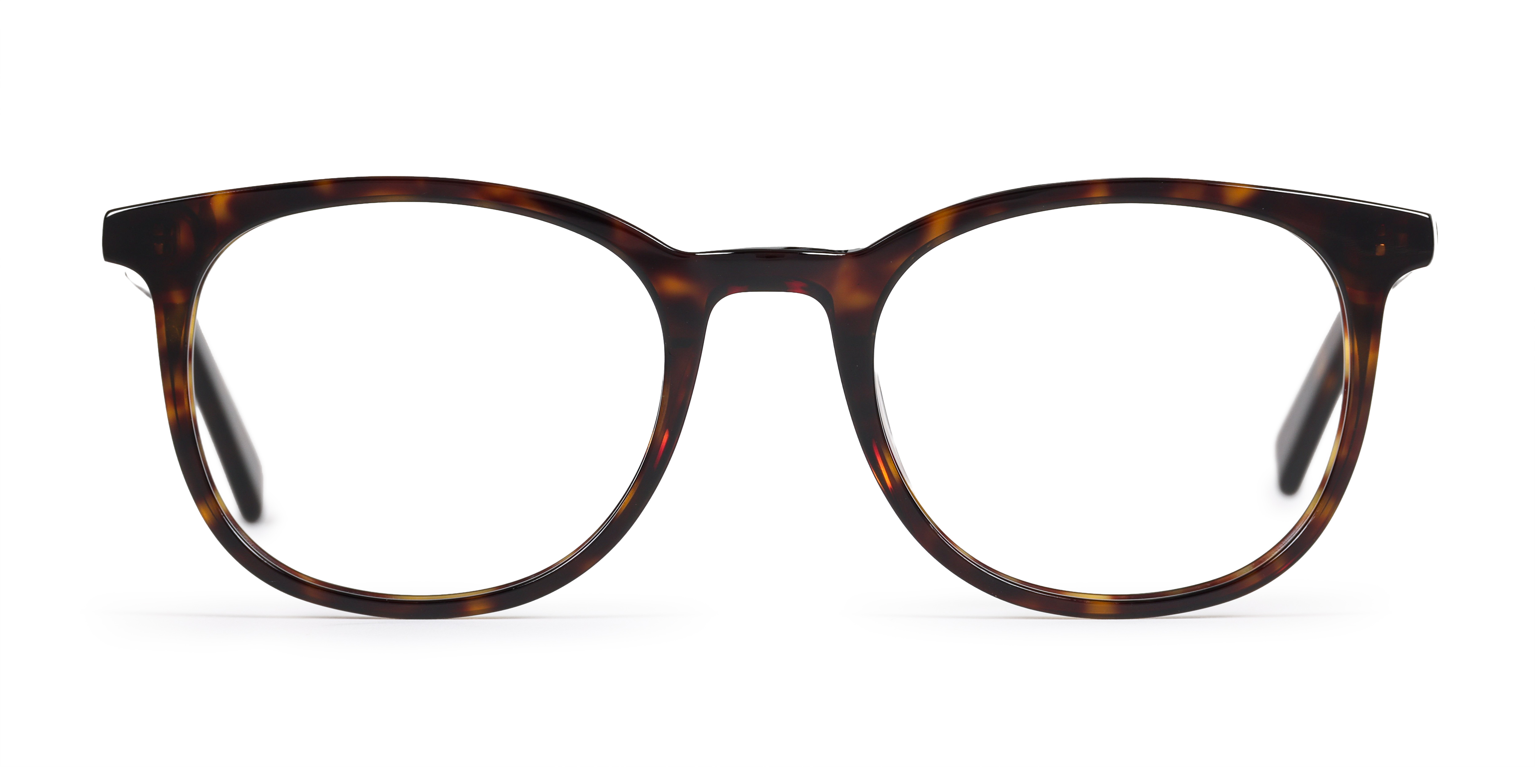 London - Dark Tortoise