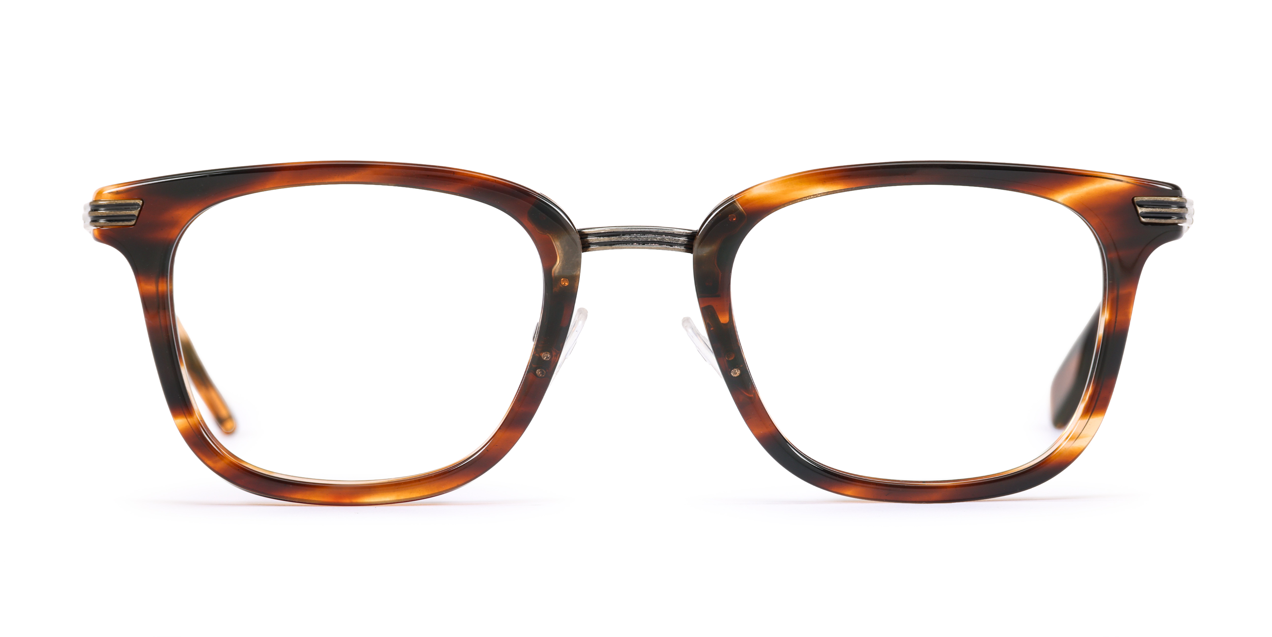 Salem - Striped Tortoise