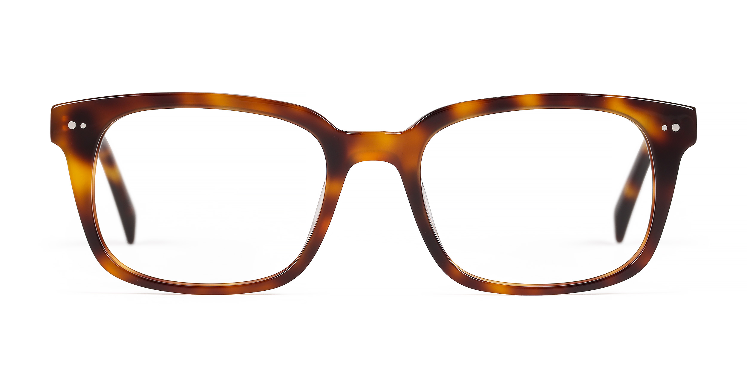 Wren - Amber Tortoise