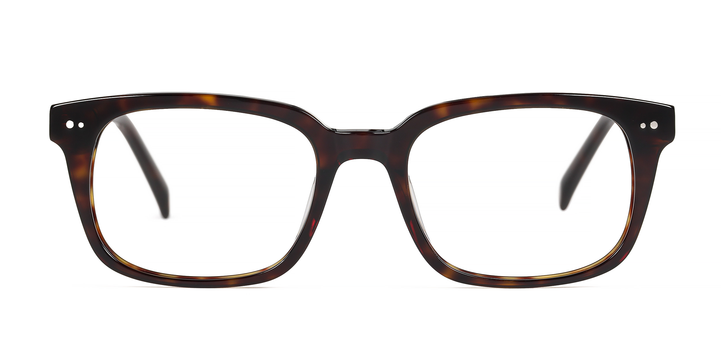 Wren - Dark Tortoise