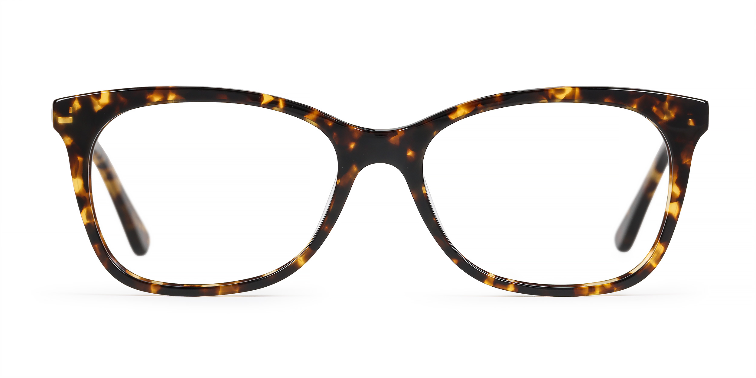 Kendall - Tokyo Tortoise