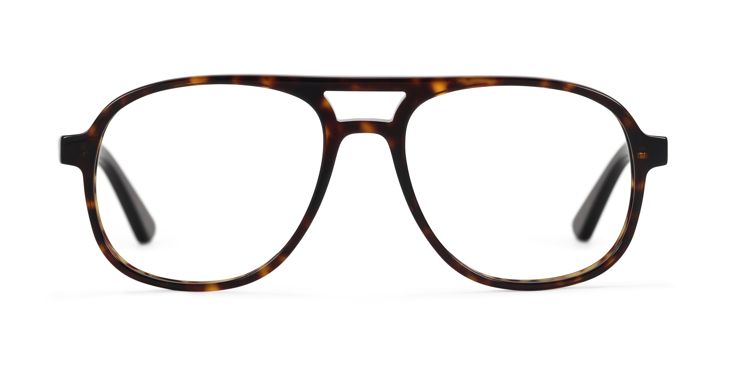 Spencer - Dark Tokyo Tortoise