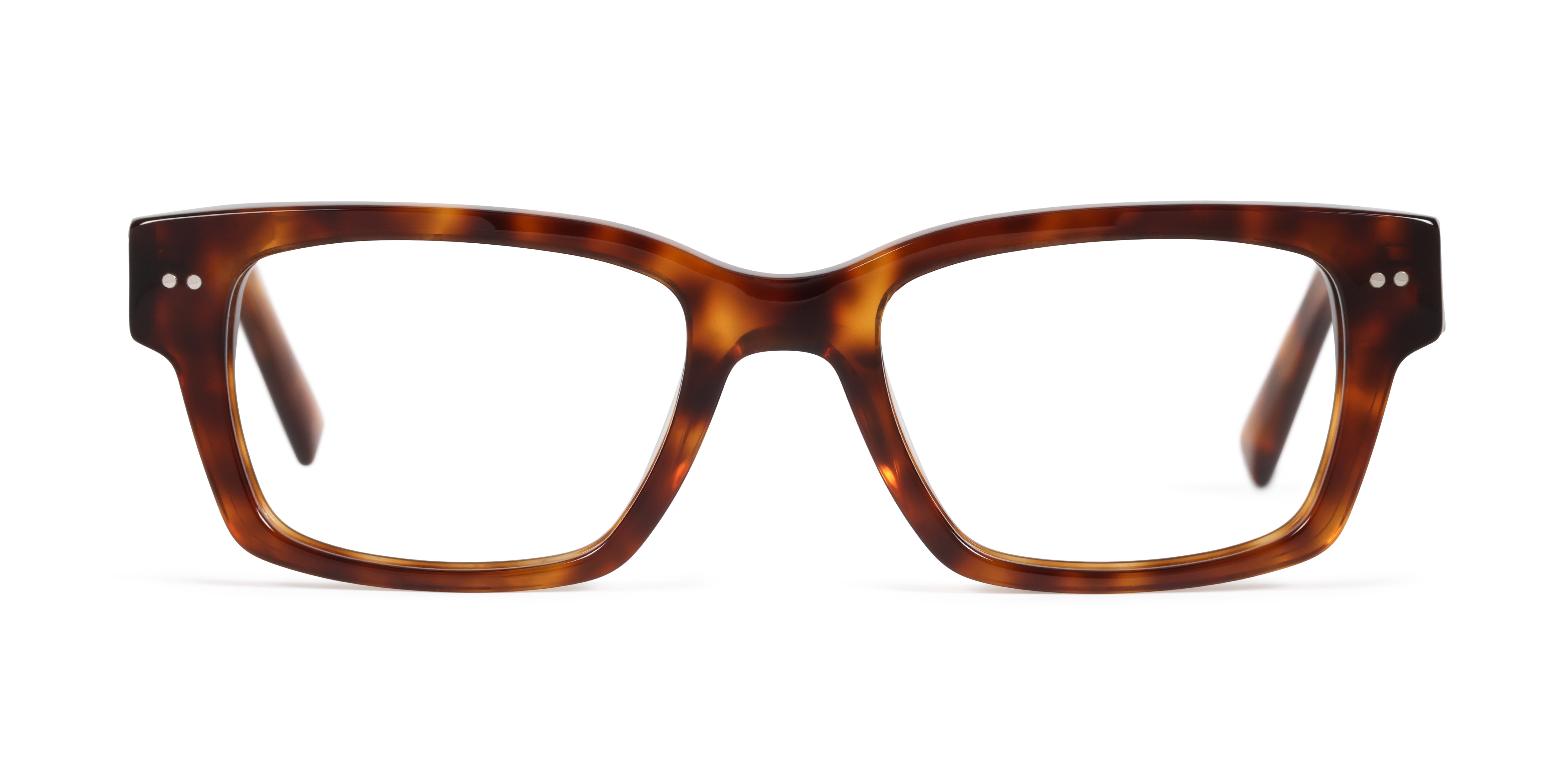 Nicky - Amber Tortoise