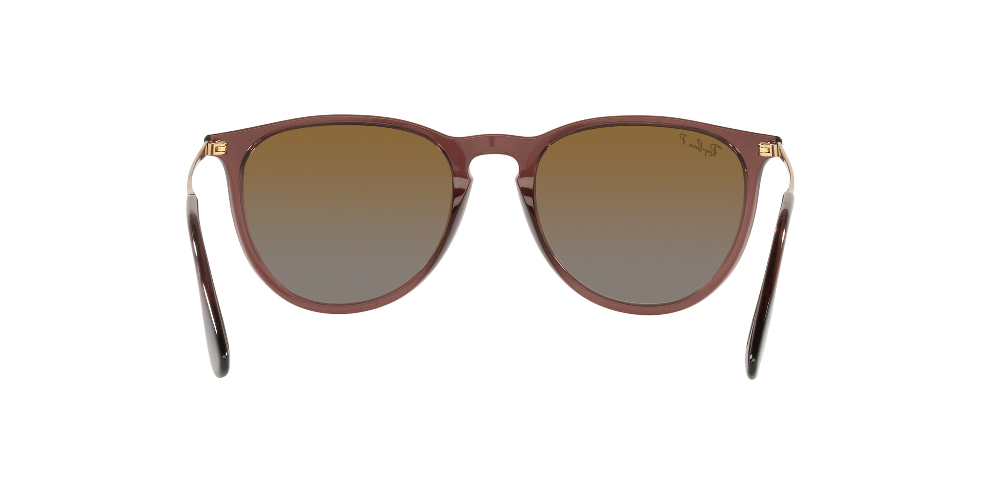 Erika RB4171 54mm - Transparent Dark Brown