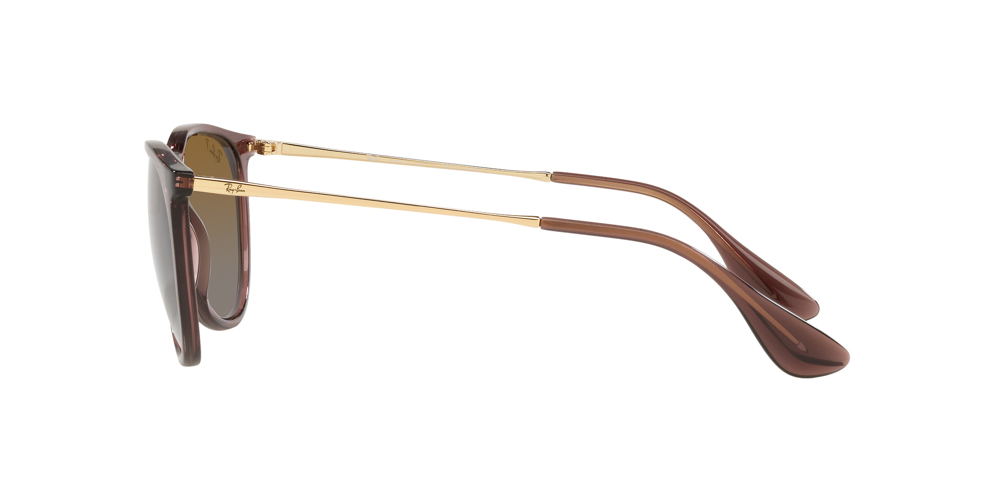 Erika RB4171 54mm - Transparent Dark Brown