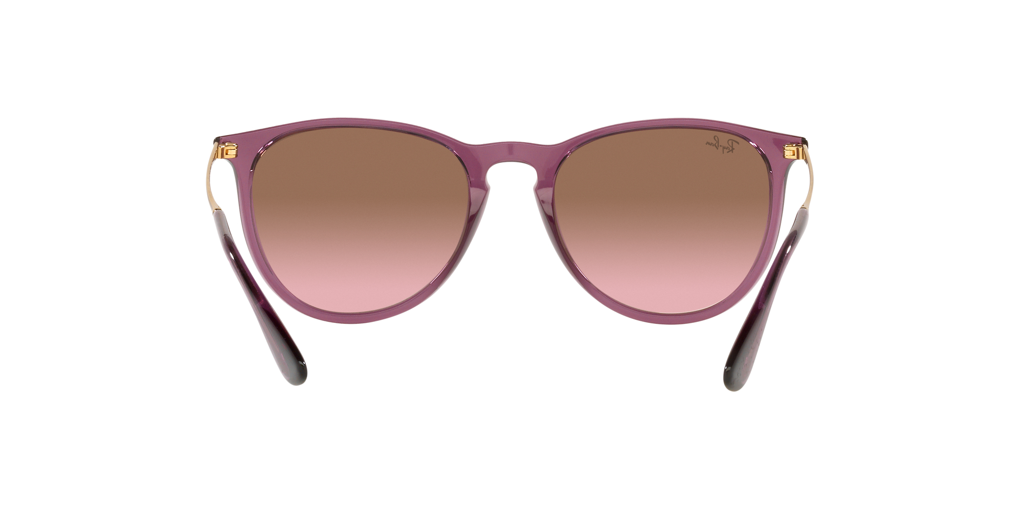 Erika RB4171 54mm - Transparent Violet