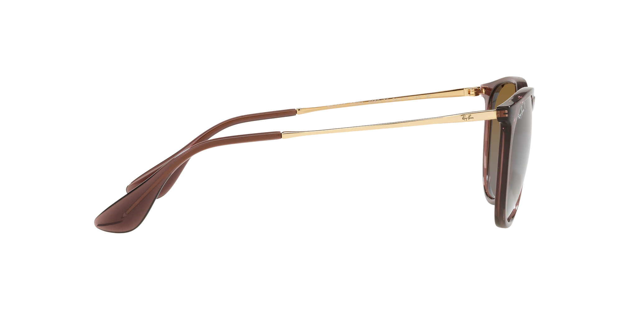 Erika RB4171 54mm - Transparent Dark Brown