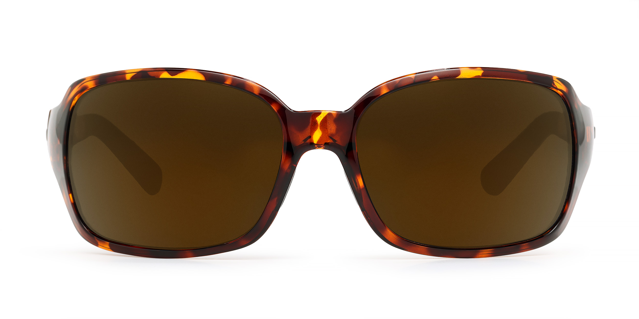 Molly - Tokyo Tortoise