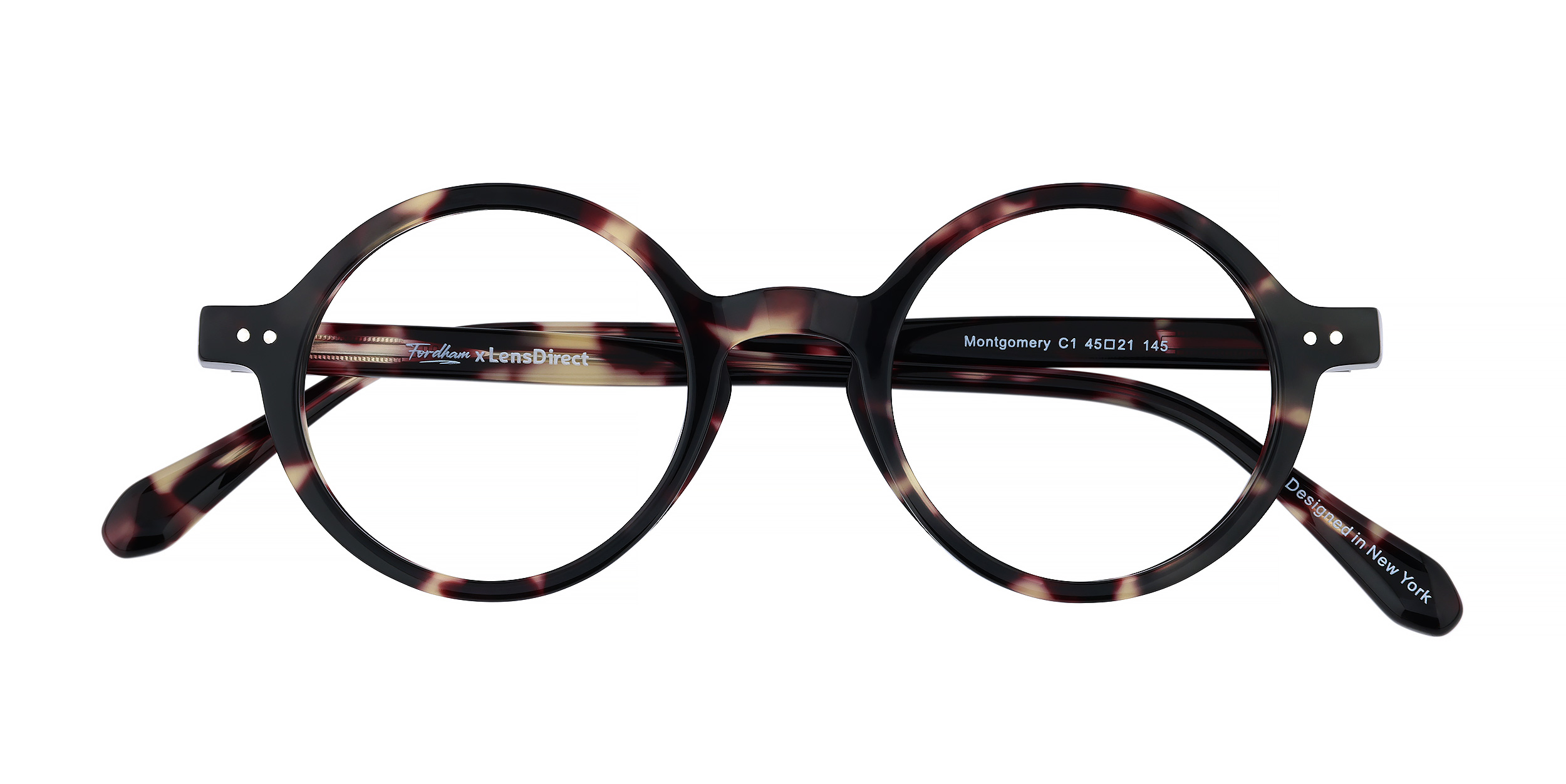 Montgomery - Tortoise