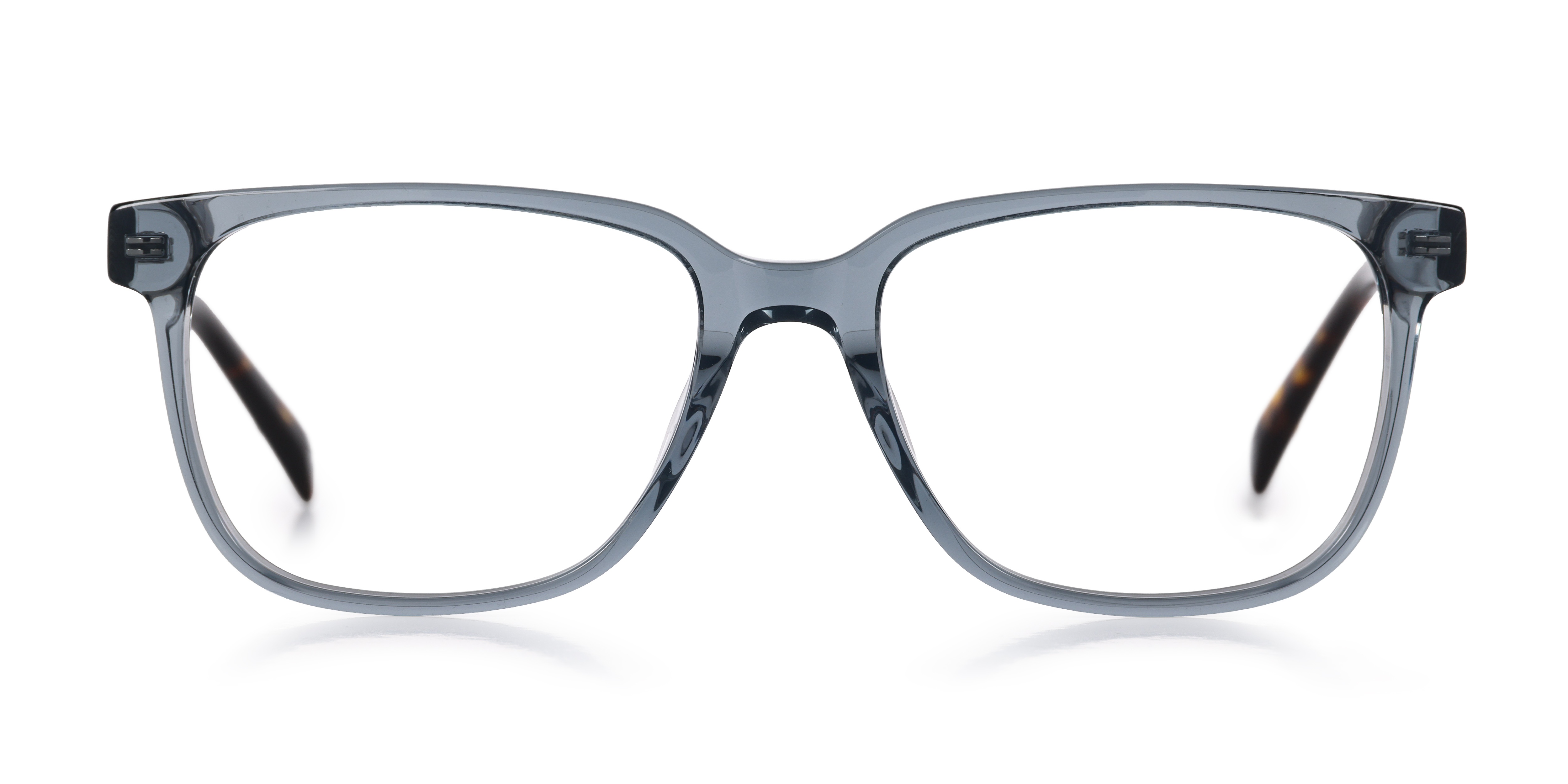 Morgan - Crystal Grey / Tortoise Fusion