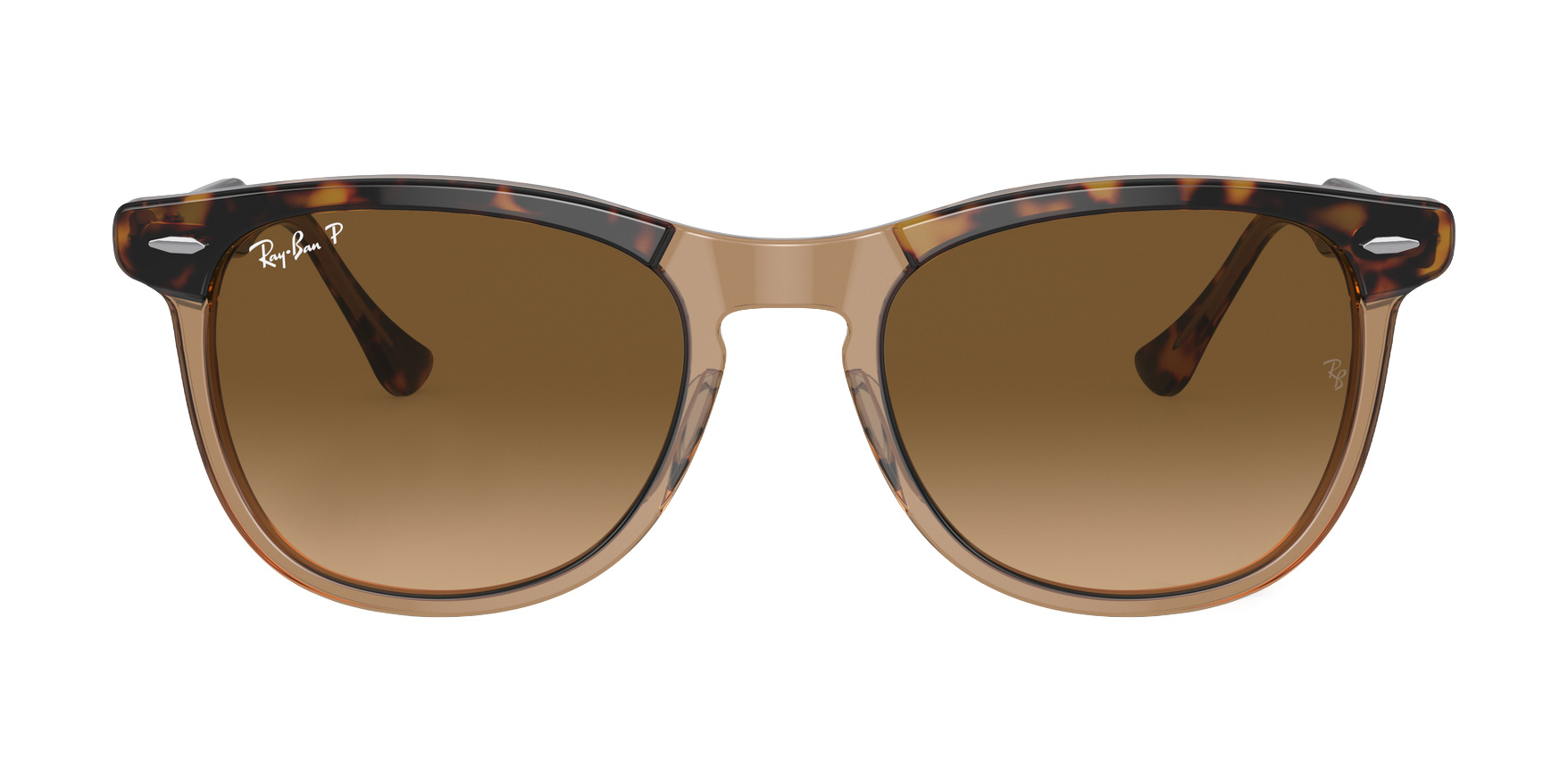Eagle Eye RB2398 53mm - Havana On Transparent Brown