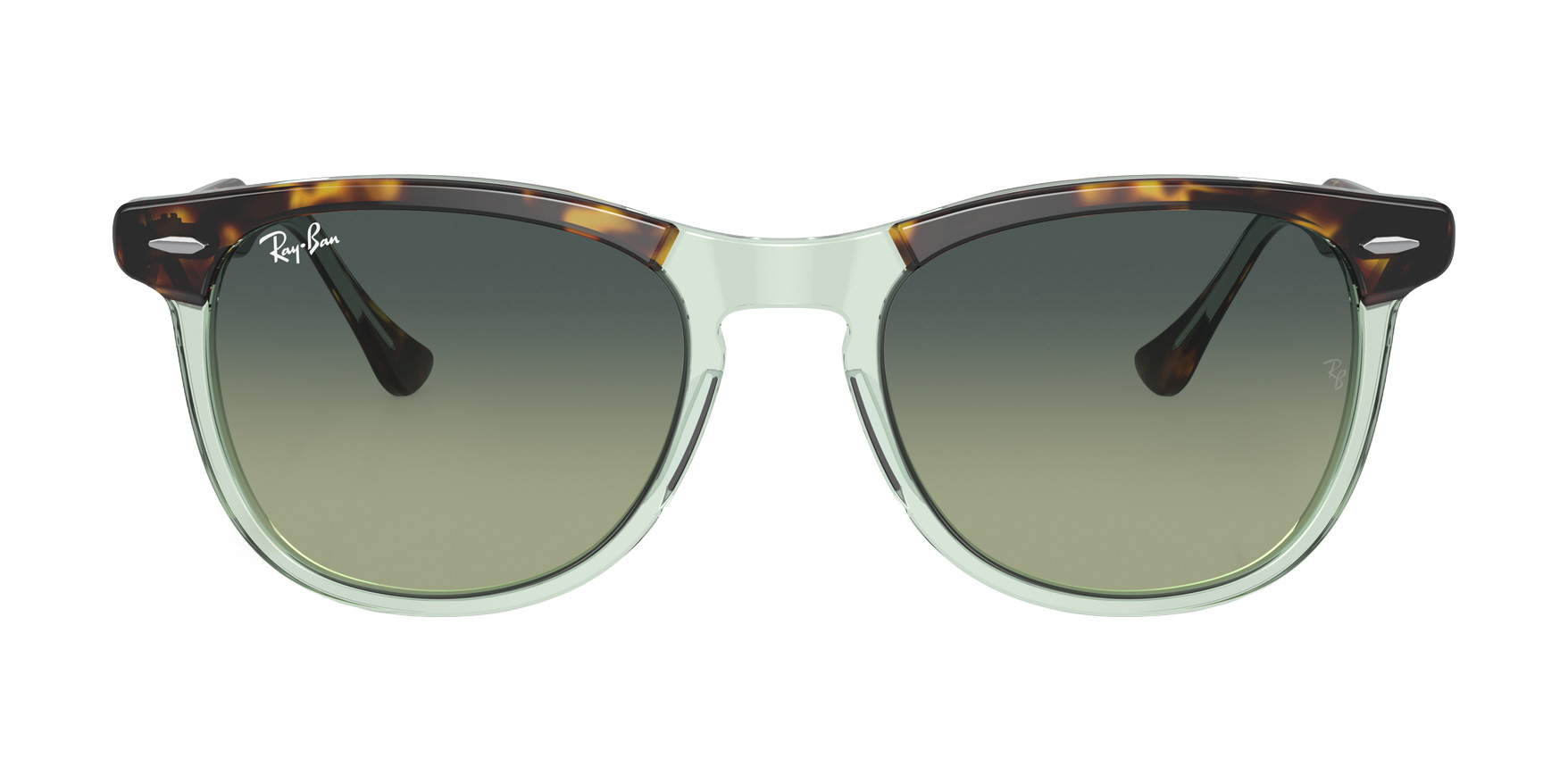 Eagle Eye RB2398 53mm - Havana On Transparent Green
