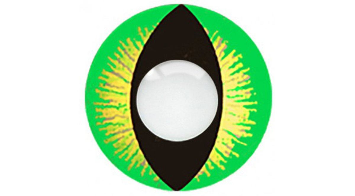 green reptile contacts closeup
