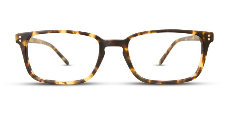 Alden - Matte Tokyo Tortoise