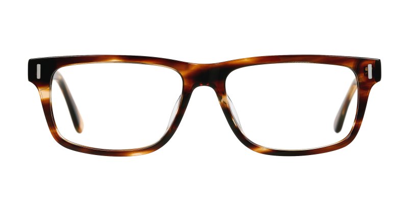 Allen - Striped Tortoise