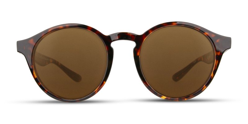 Amalfi - Tortoise Sunglasses