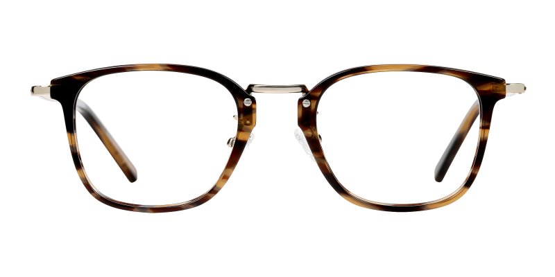 Arden - Striped Tortoise