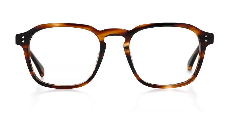 Dawson - Striped Tortoise