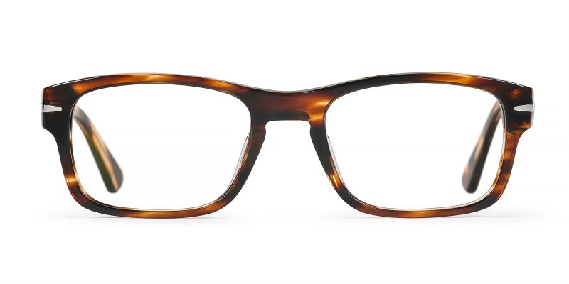 Delta - Striped Tortoise