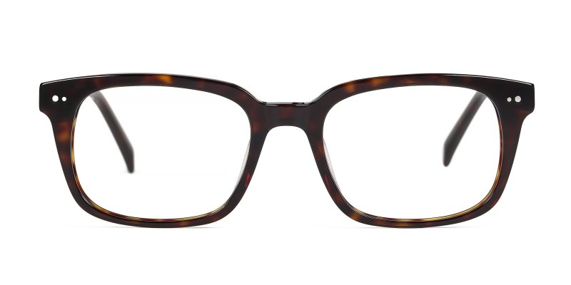 Wren - Dark Tortoise