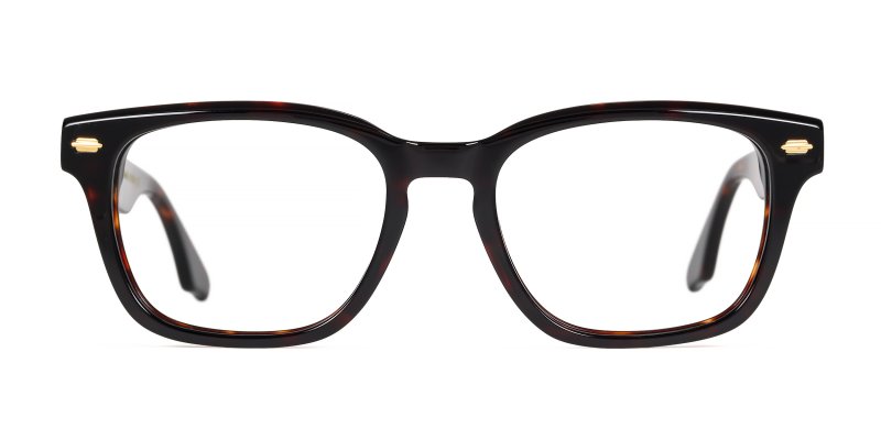 Smitty - Dark Tortoise