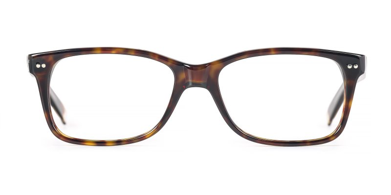 Matteo - Dark Tortoise Crystal