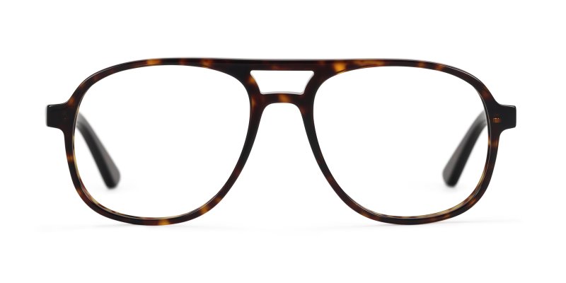 Spencer - Dark Tokyo Tortoise