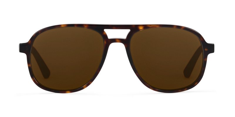 Spencer - Dark Tokyo Tortoise