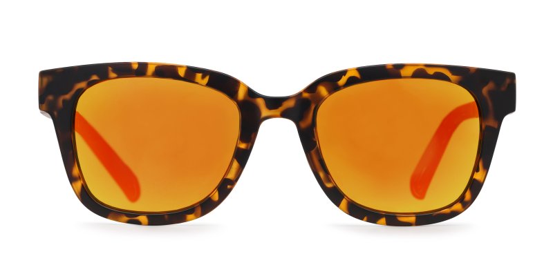 Torque - Matte Tortoise