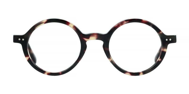 Montgomery - Tortoise