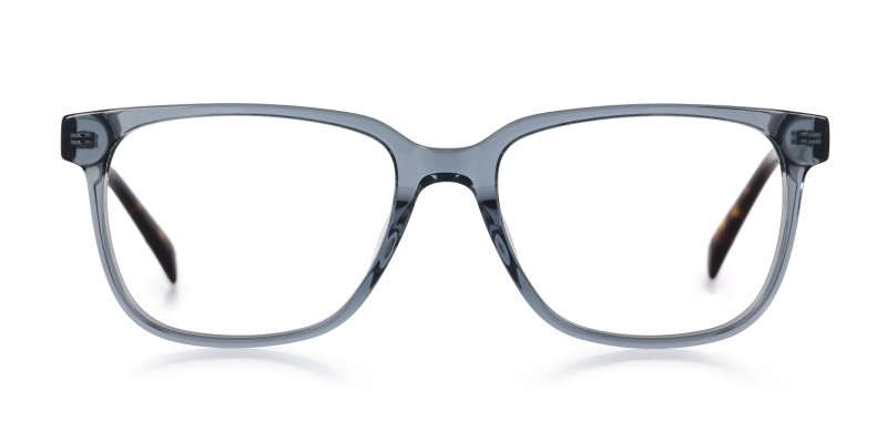 Morgan - Crystal Grey / Tortoise Fusion