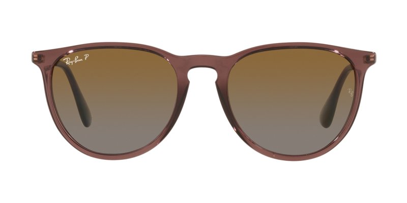 Erika RB4171 54mm - Transparent Dark Brown