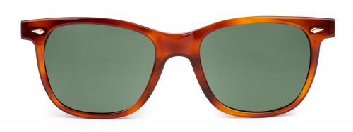 Hyannis - Blonde Tortoise - Sunglasses
