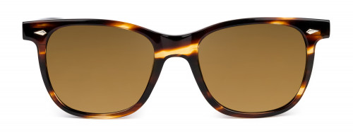 Hyannis - Dark Tortoise - Sunglasses