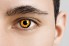 man wearing orange and black contacts