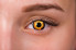 woman wearing orange and black contacts