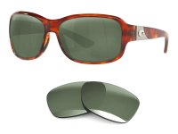 Inlet Replacement Lenses