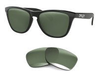 Oakley Frogskin Lite Replacement Lenses