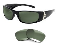 Shelter Replacement Lenses