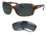 RB4068 Replacement Lenses